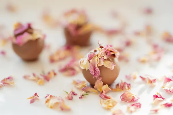 Казино Бела Вегас Android/iOS приложение